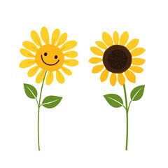 Smiling sunflower cartoon on white background vector.