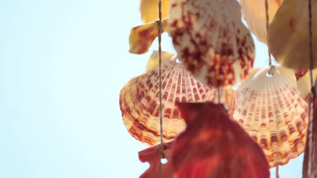 Shells hanging with bright blue background copyspace area in the background