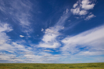Obraz premium white clouds over a green field during the day