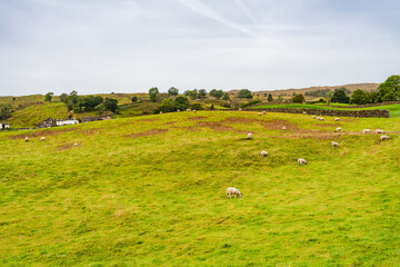 Fototapeta premium Rural Cumbria