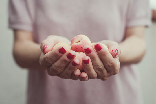 Close-up of a woman holding a handful of fresh apricots