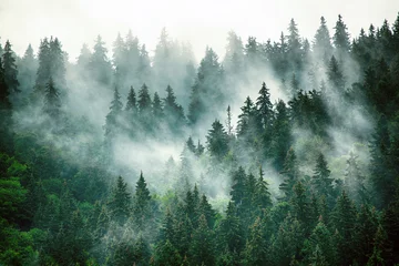 Foto auf Acrylglas Morgen mit Nebel Nebelhafte Berglandschaft