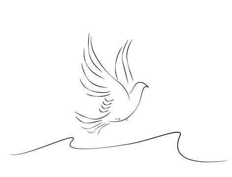 bird pigeon drawing design for wall painting decoration. animal and bird nature together artistic design