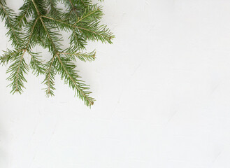 Branch of a Christmas tree on a white background. Christmas composition.