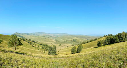 Panoramic view of the mountain plateau in Altai, Russia