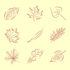 Fototapeta na wymiar Collection of contour autumn leaves