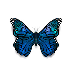 Beautiful blue detailed realistic butterfly on white