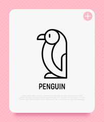 Penguin thin line icon. Modern vector illustration.