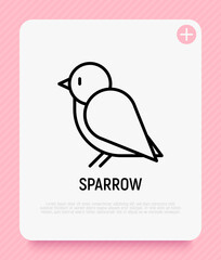 Sparrow thin line icon. Modern vector illustration of bird.