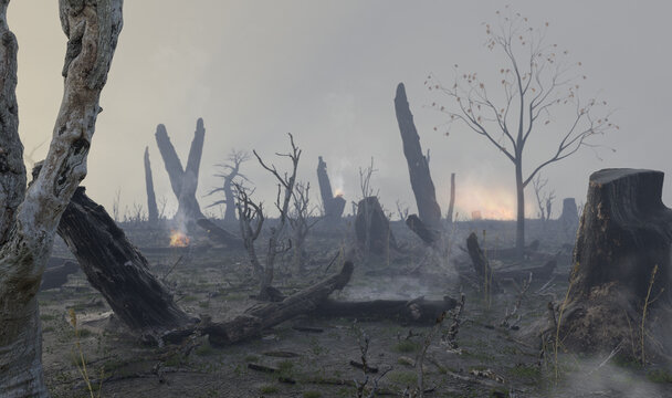 Waldbrand &ndash; Rodung und Zerst&ouml;rung des Waldes durch Feuer