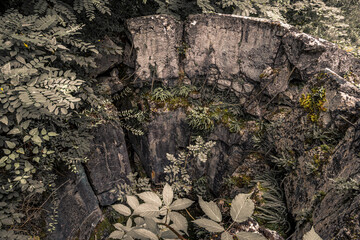 Old destroyed remains of Westwall bunkers along the border