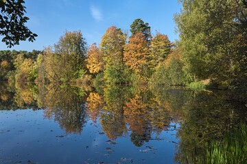 Fototapeta na wymiar Autumn landscape with yellow, red and green trees reflecting in the calm water of a forest lake in sunny day