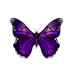 Beautiful deep purple detailed realistic magic butterfly on white