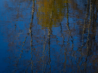 Reflections in a pond in autumn in a Moscow park