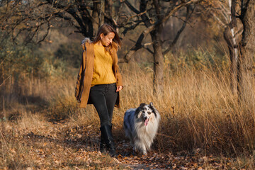 Naklejka na ściany i meble Rough blue merle marbled collie and a girl walking side by side in an autumn park