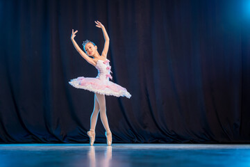 little girl ballerina is dancing on stage in white tutu on pointe shoes classic variation. - obrazy, fototapety, plakaty