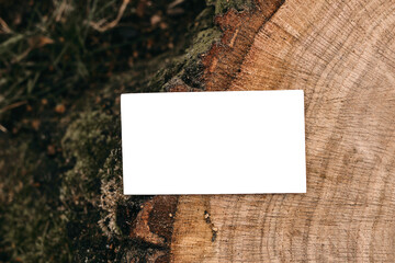 Branding mock-up. Blank business card, invitation. Cut wooden tree trunk with moss in forest. Blurred grass background. Lumber, timber industry and ecology concept. Moody natural flat lay, top view.