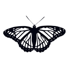 butterfly vector icon design