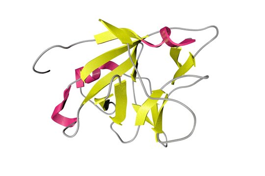 Crystal structure of the pro-inflammatory cytokine interleukin 36 alpha. Ribbons diagram in secondary structure coloring based on protein data bank. 3d illustration