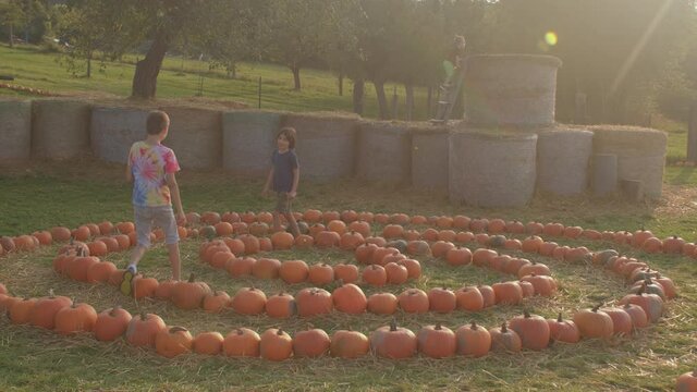 Children play catch-up in the park in sunny weather. The maze is lined with orange pumpkins. Camera movement.