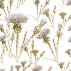 Thorns dry watercolor on white background seamless pattern for all prints.