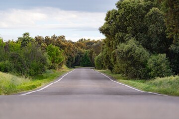 Long road surrounded by nature and forest.