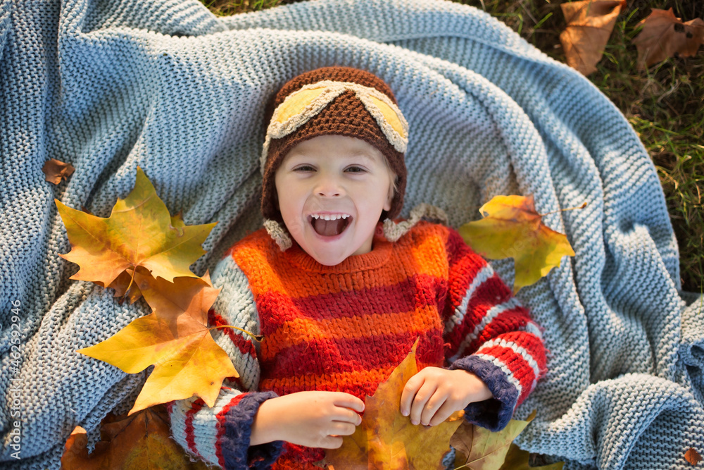 Poster Little toddler child, boy, lying on blanket with leaves in autumn park on sunset