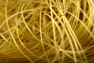 Natural plant strings of creepers, nature abstract image.