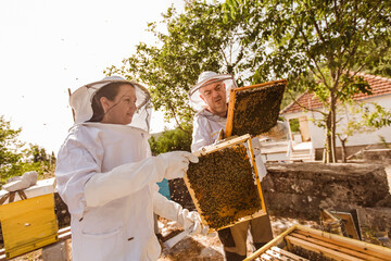 Beekeepers on apiary. Beekeepers are working with bees and beehives on the apiary.