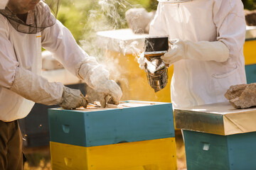 Beekeepers on apiary. Beekeepers are working with bees and beehives on the apiary.
