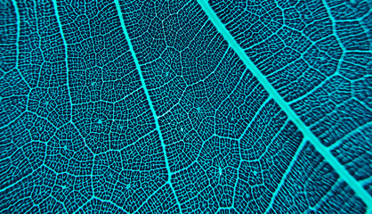 The detail image of a leaf. Macro image for design effect. Vein, midrib, and blade close up.