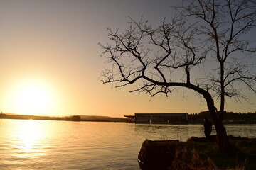 Naturaleza y texturas
