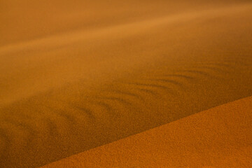 Beautiful sand dunes in the Sahara Desert in Morocco. Landscape in Africa in desert.