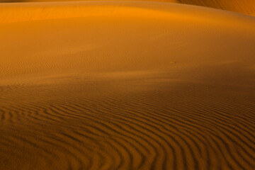 Beautiful sand dunes in the Sahara Desert in Morocco. Landscape in Africa in desert.