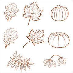 Set of hand drawn autumn elements