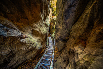 Sächsische Schweiz Hockstein Hocksteinaussicht Wolfsschlucht Sandstein Elbsandstein Gebirge Höhle 