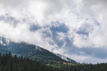 landscape view of carpathian mountains