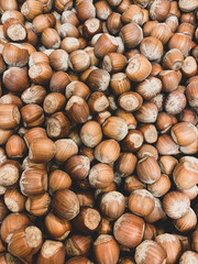 Full frame picture of fresh organic hazelnuts. Food background. Cob nuts harvest. 