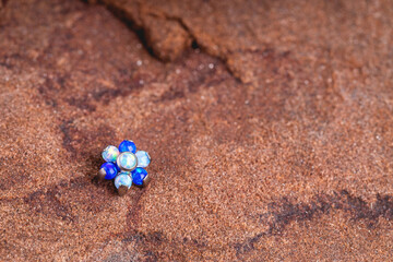 Beautiful piercing jewelry. Macro shot. Selective focus.