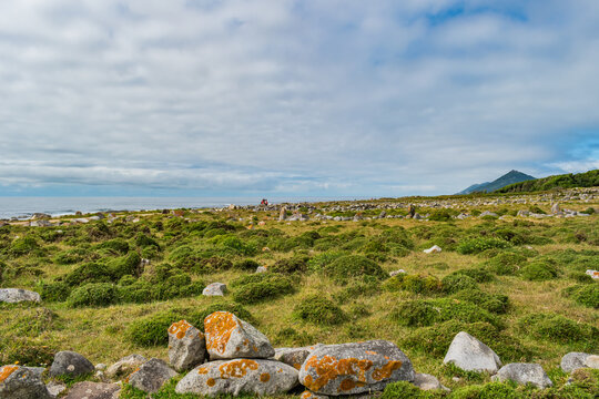 Green shrubs and stones along the ecovia on the north coast, a path used by pilgrims with the Santa Tecla Hill in the background - Moledo PORTUGAL