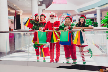 Full length body size view of attractive cheerful fairy magic characters elfs buying advent gifts...