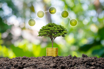 A tree growing on a pile of coins and a green background is a concept of financial system...