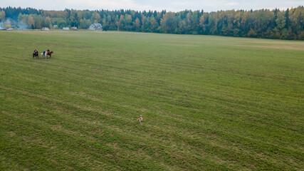 Aerial view of group of fox hunters on the horses in the autumn field. Equestrian riding sport in a...