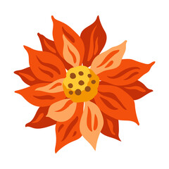 Merry Christmas illustration of poinsettia flower. Symbol in hand drawn style.