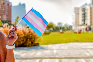Gender queer. Female hand holding Transgender flag. Selective focus.