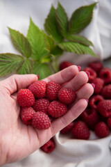 Garść malin na tle białej tkaniny i liści © Katarzyna