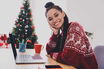 Profile side view portrait of attractive cheerful girl using laptop spending festal day time...