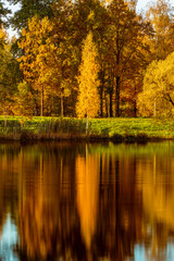 Fototapeta premium Colorful autumn foliage casts its reflection on the lake water