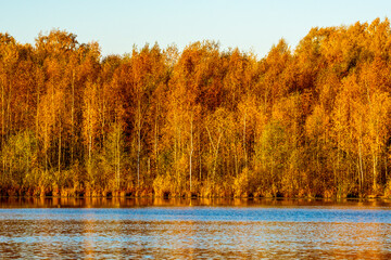 Lake reflections of fall foliage