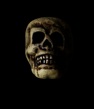 skull in the dark. White light illuminating the skull sideways. 